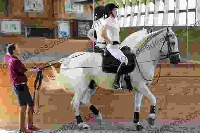 A Horse And Its Rider Performing Classical Dressage Horses (Farm Animals) Sheri Doyle