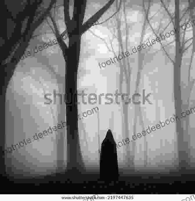 A Shadowy Figure, Shrouded In Mist, With An Ethereal Glow. The Magnificent Lizzie Brown And The Mysterious Phantom