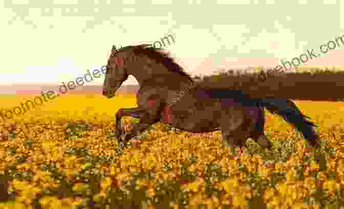 A Thoroughbred Horse Galloping Across A Field Horses (Farm Animals) Sheri Doyle