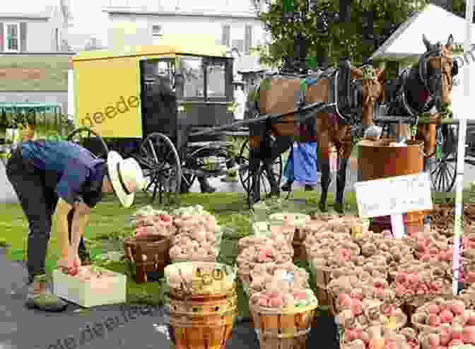 An Idyllic Amish Marketplace With Horse Drawn Buggies And Colorful Shops The Coffee Corner (An Amish Marketplace Novel 3)