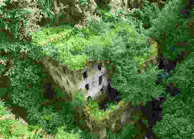 Ancient Ruins, Overgrown With Vines And Half Buried In The Earth, Hint At A Forgotten Past. The Quest Of Hope: Part 1 (Lost)