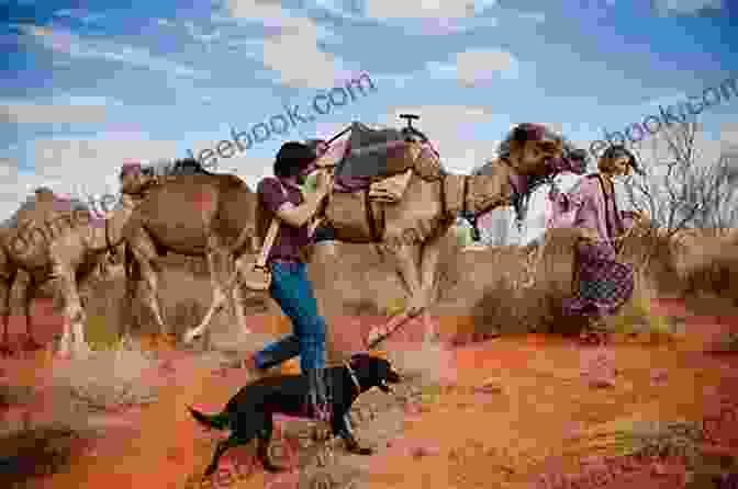 Diane Lee Wilson Walking With Her Camels In The Australian Outback Tracks Diane Lee Wilson