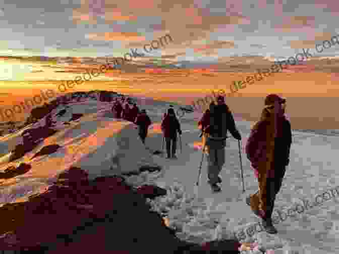 Hikers Trekking On Mount Kilimanjaro, With The Summit In The Distance. Trekking In Ladakh: Eight Adventurous Trekking Routes (Cicerone Guides)