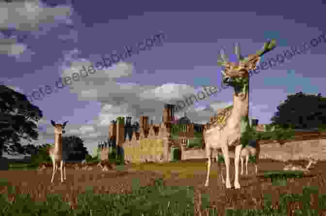 Knole Park's Vast Deer Park And Stately Mansion Click And Go Best Of Kent England