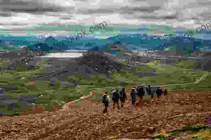 Photograph Of A Group Of People Enjoying A Hike Along Iceland's Laugavegur Trail, Showcasing The Stunning Volcanic Landscapes Digging For Roots: Travels In Iceland