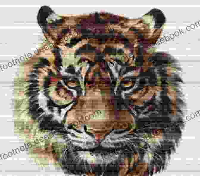Printable PDF Pattern Of A Majestic Tiger With A Piercing Gaze. Jungle Sampler Cross Stitch Pattern: Printable PDF Pattern Tiger Parrots Butterfly Tropics 2 Kinds Of Patterns