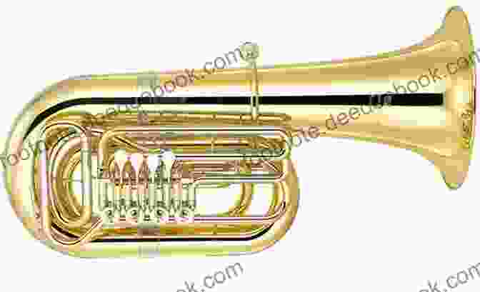Stereogram Of A Tuba STEREOGRAM NOS 1 5 (Stereograms For Tuba Collection 1)