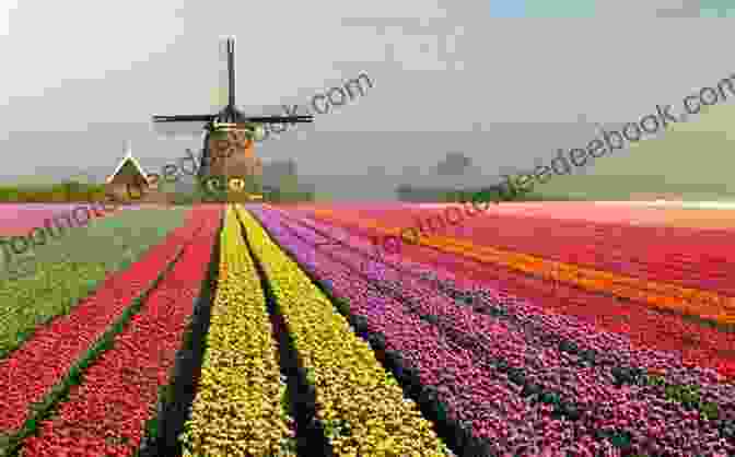 Vibrant Tulip Fields In The Netherlands, Showcasing The Country's Horticultural Prowess And Creating A Breathtaking Spectacle Of Colors And Patterns. Photo Essay: Beauty Of The Netherlands: Volume 62 (Travel Photo Essays)