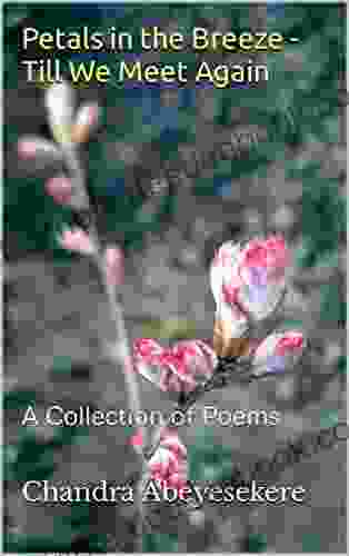 Petals In The Breeze Till We Meet Again: A Collection Of Poems