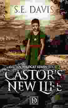 Castor S New Life: Dacian Wildcat Series: 2