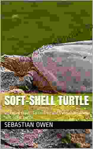 SOFT SHELL TURTLE: Essential Guide To Understand Everything About Soft Shell Turtle
