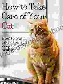 How To Take Care Of Your Cat: How To Train Take Care Of And Keep Your Cat Healthy